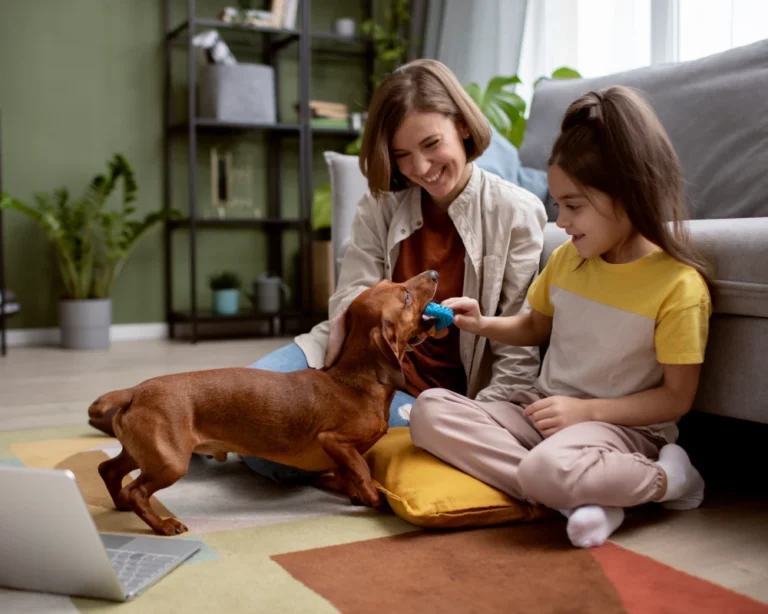 pet automatic food dispenser