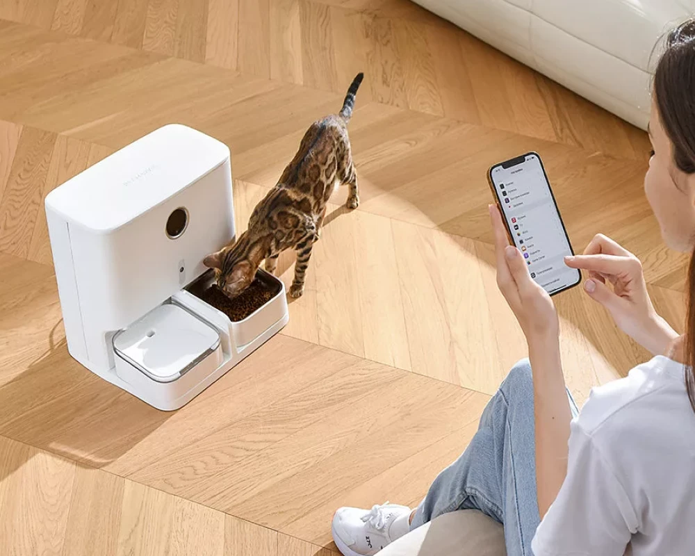 pet automatic feeder